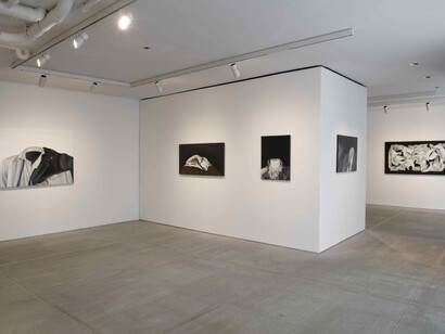 Who is Lun*na Menoh?, 2023, installation view. Courtesy of TOTAH, NYC