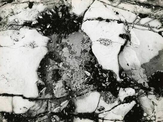 Herbert Matter, Untitled, c. late 1940s, Vintage gelatin silver print, 10 9/16 x 13 1/16 inches