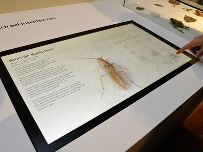 Climate change in Styria, exhibition view. Courtesy of Natural History Museum