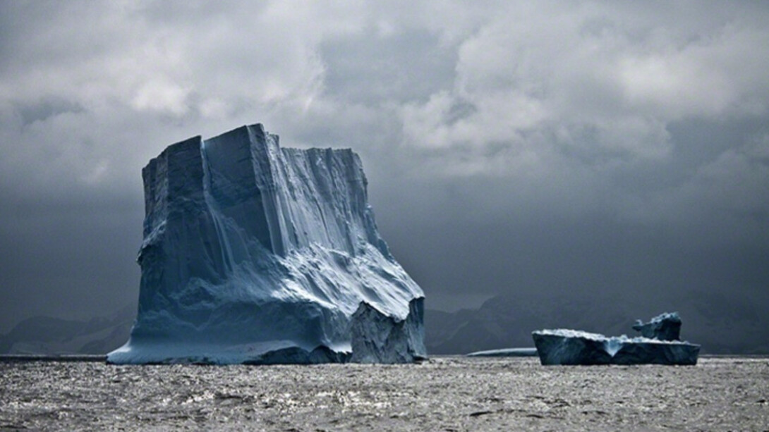 25 Under 26. Courtesy of Elisa Contemporary Art