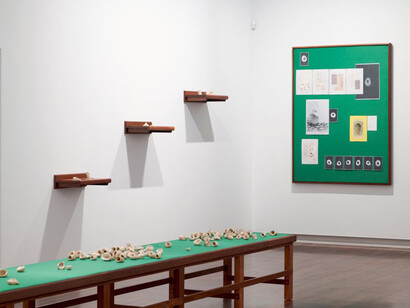 Border chronicle, exhibition view. Courtesy of Goolugatup Heathcote 