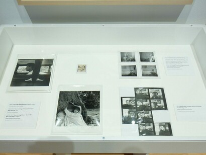 Robert Rauschenberg, Exhibition view. Courtesy of WCMA