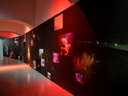 Som Supaparinya, The rivers they don’t see (extended), exhibition view. Courtesy of Kestner Gesellschaft