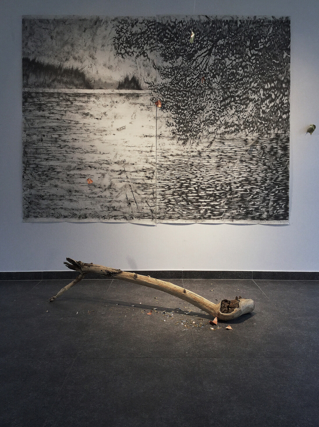 François Réau
Effet de séparation, 2015
Mine de plomb et graphite sur papier
Diptyque, 162 x 228 cm
Bois, feuilles d’or et couverture de survie
Dimensions variables
Courtesy de l’artiste