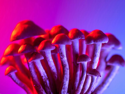 Al lado derecho una luz, una presencia que me llevaba hacia allá, quería ir hacia allá. Sentí por primera vez la plenitud y quise seguir ahí