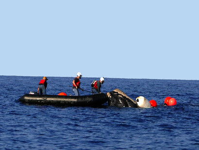 Jedes Jahr verenden 300.000 Wale qualvoll in Fischernetzen. Bild: Einsatz des „NOAA Office of Response and Restoration“ bei einem gestrandeten Wal in Hawaii