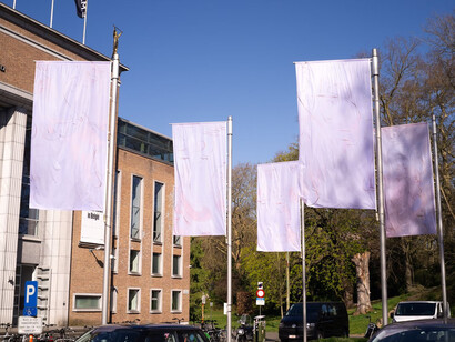 Carlotta Bailly-Borg, Leaning against the wind, exhibition view. Courtesy of S.M.A.K.