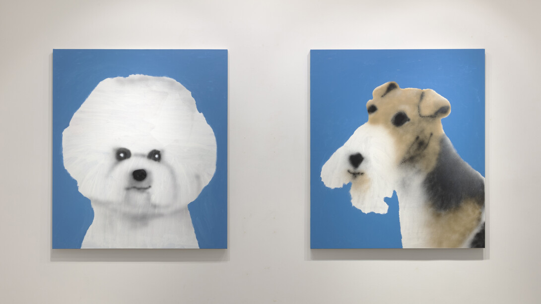 Ricardo Passaporte. Best In Show, installation view. Courtesy of Steve Turner