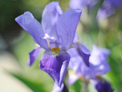 Allontanarsi da dinamiche di conflitto permette di osservare il funzionamento naturale dei sistemi viventi senza interferenze ideologiche