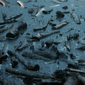 Sarker Protick, Forest, from the series Awngar. Chunati wildlife sanctuary (dettaglio), Chittagong, Bangladesh, 2023. Cortesia di Mart