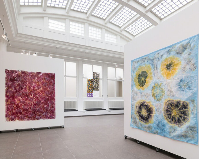 Ipomées. Courtesy of La Forest Divonne