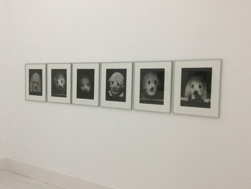 Portuguese Art. Courtesy of MNAC