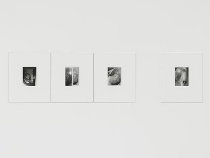 Kazuna Taguchi, I’ll never ask you, ausstellungsansicht. Mit freundlicher genehmigung des Mumok