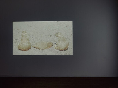 Marjan Laaper, Loss, hope and wonder, exhibition view. Courtesy of NL=US Art