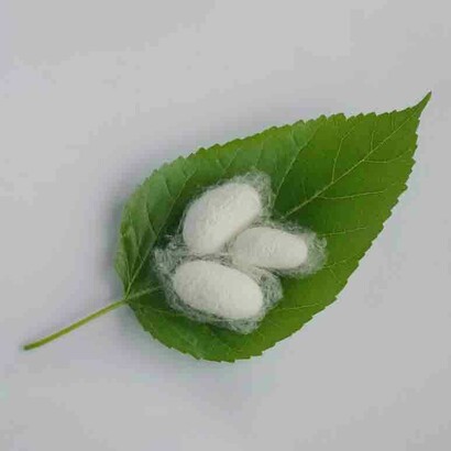 The Chinese Dragon is engaging in new and very risky ventures upon a global Silk Road