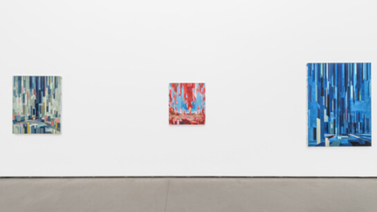 David Schnell, Exhibition view. Courtesy of Galerie Eigen + Art