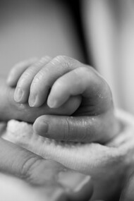 La vie. Qu’est-ce que le vivant ? La question n’en finit pas d’être posée et reposée, tant par les philosophes, les biologistes que le commun des mortels