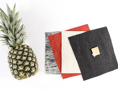 Piñatex, sustainable products, ethical and cruelty-free 