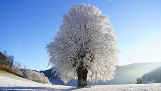 Secondo la teoria Yin-Yang, con la stagione invernale siamo entrati nel massimo Yin, nel periodo più freddo