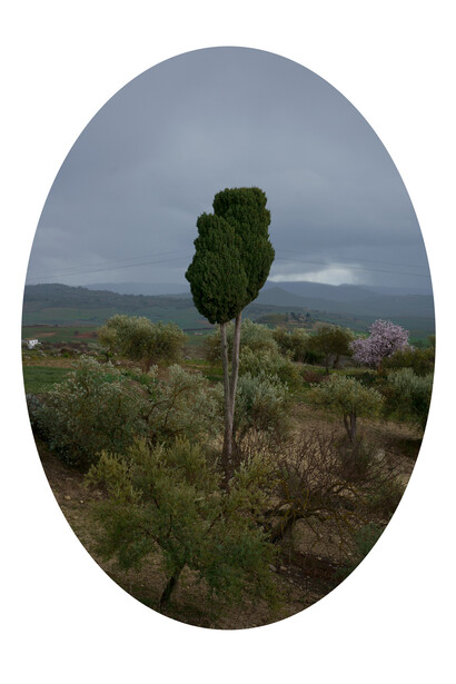 Giorgio Barrera, Cartofotografica, Pieteraperzia, 2024. Cortesia dall'Accademia di Belle Arti di Palermo