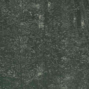 Franz Gertsch, Porträts und naturstücke, kunstwerke in der ausstellung. Mit freundlicher genehmigung des Museum Franz Gertsch