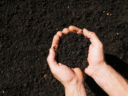 L’ambiente naturale presenta un modello di funzionamento autoregolato che non richiede mediazione tecnologica o interpretazioni strategiche