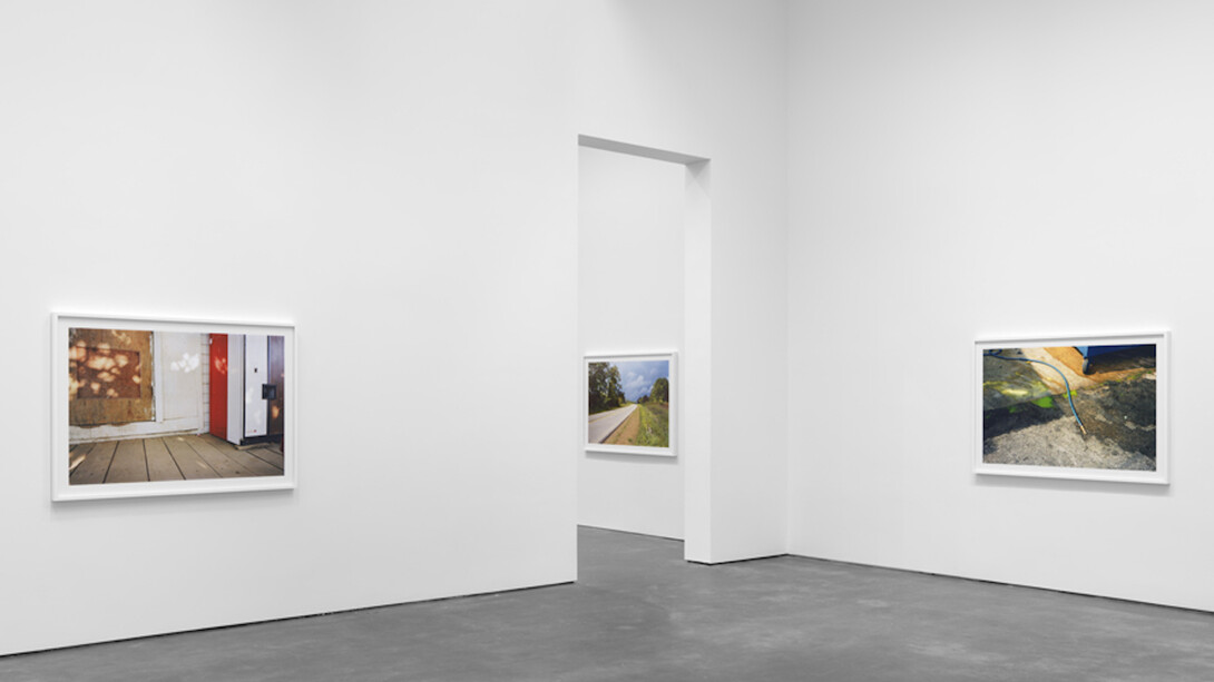 William Eggleston The Democratic Forest, Exhibition view. Courtesy of David Zwirner