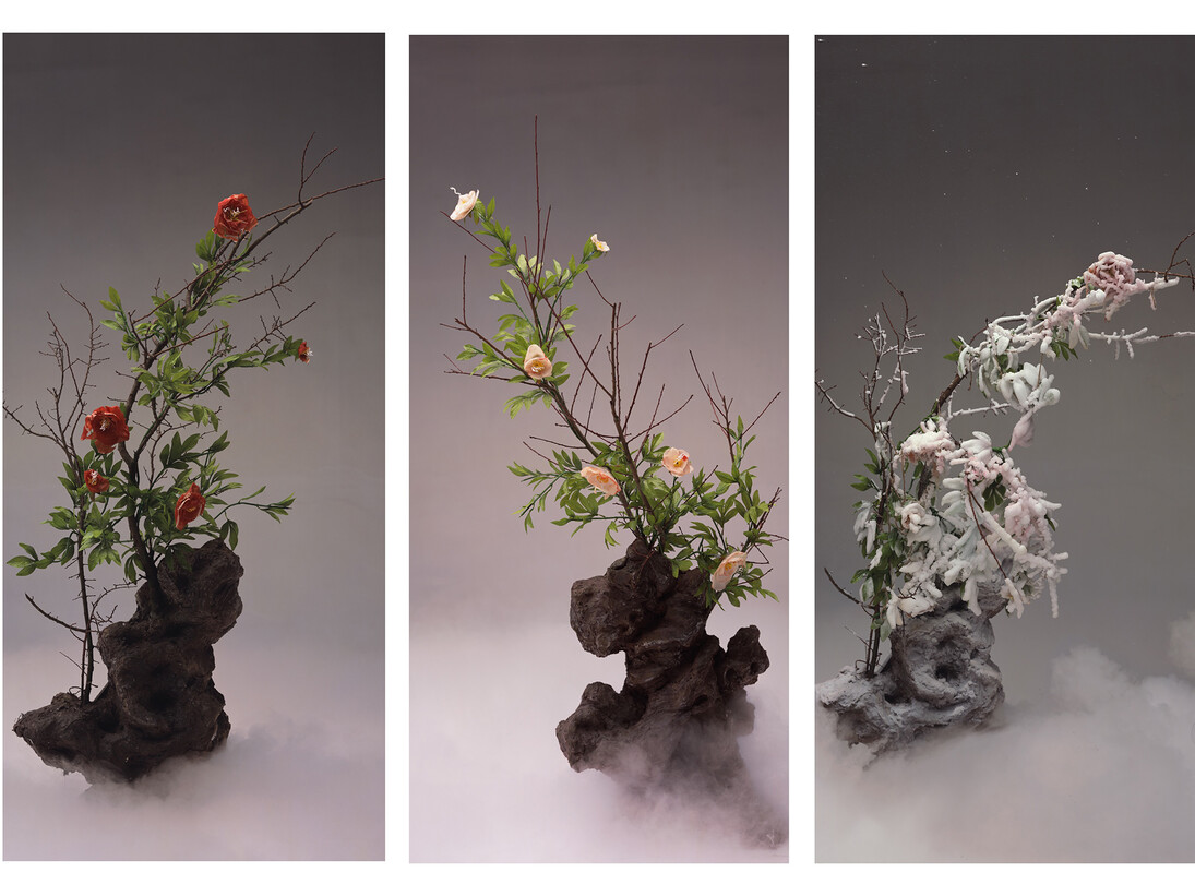Wang Qingsong, Red Peony, White Peony, Frosted Peony, 240 x 330 cm,2003 © Wang Qingsong, courtesy Huxley-Parlour Gallery