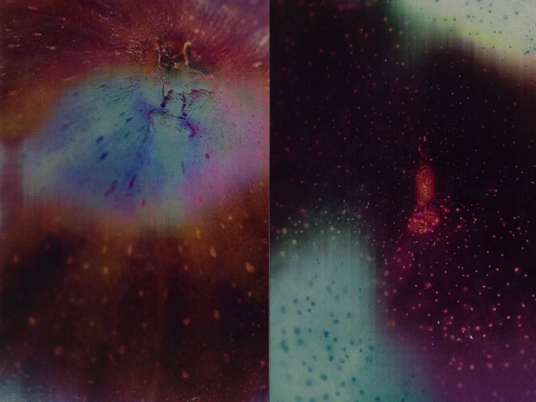 Jitish Kallat, Sightings D9M4Y2015, 2015, detail, Photographie lenticulaire en 7 panneaux, 68,5 x 320 cm, oeuvre et détails, Courtesy Galerie Daniel Templon, Paris. © Jitish Kallat