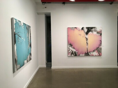 Jeff Muhs. Supernature, exhibition view. Courtesy of Lyons Wier Gallery
