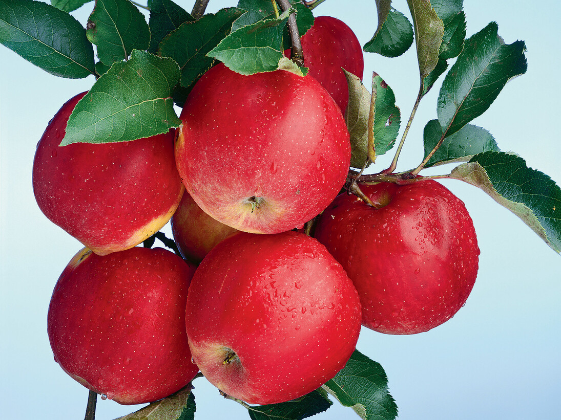 Christopher Williams, Bergische Bauernscheune, Junkersholz, Leichlingen, September 29, 2009, 2010, Private Collection, Belgium, Image courtesy Galerie Gisela Capitain, Cologne and David Zwirner, New York/London