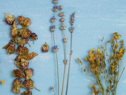 An assortment of Ayurvedic herbs and spices, carefully selected to nourish the body, enhance digestion, and promote overall vitality