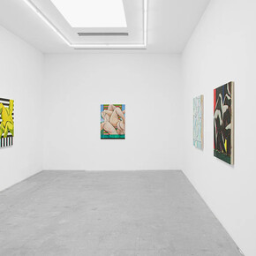 Mark Yang, Cryptic aperture, exhibition view. Courtesy of Various Small Fires Gallery