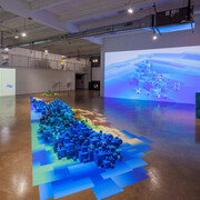 Jaye Rhee, Fragile terrain, exhibition view. Courtesy of Locust Projects