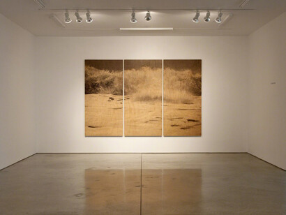 Clifford Ross. Wood Waves, Exhibition view. Courtesy of Ryan Lee
