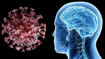 Los retrasos en la búsqueda de atención médica por accidente cerebrovascular son más perjudiciales que el impacto de la propia COVID-19