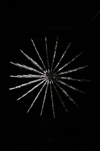 From Dust to Glitter, or How a Crystal Chandelier Grows. Courtesy of Schloss Pillnitz