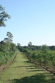 Mancotta Heritage Chang Bungalow, Dibrugarh, Tea plantation. Credit Purvi Discovery