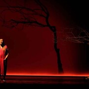 Amore, vista dell'opera. Per gentile concessione del Teatro Donizetti