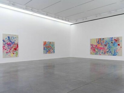 Installation Views. Courtesy 303 Gallery, New York