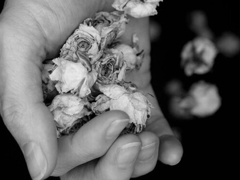 Cuando la medicina ya no puede aliviar, la decisión personal se convierte en el último territorio de libertad