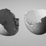 Gagliardi e Domke Gallery