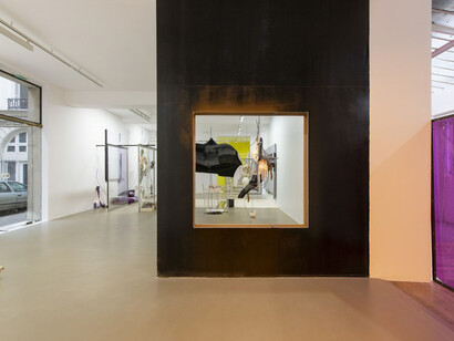 David Douard. Courtesy of Galerie Chantal Crousel