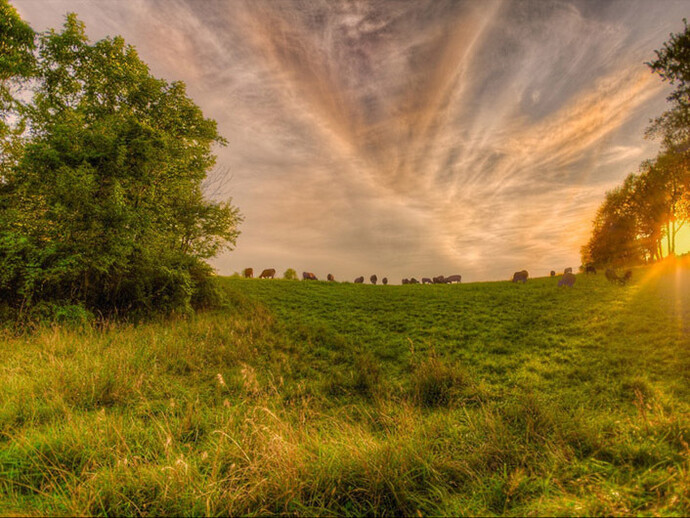 Jerry Freedner, Farm Field 33, 2014, 12" X 18", archival pigment print on paper