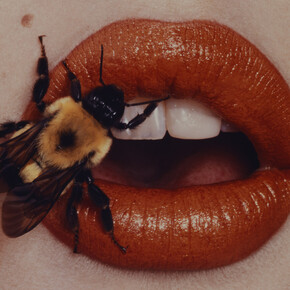 Irving Penn. Bee, New York, 1995, printed 2001. Smithsonian American Art Museum, Gift of The Irving Penn Foundation. © The Irving Penn Foundation
