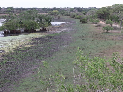 A view from the bird watching tower in Kumana National Park © Gehan de Silva Wijeyeratne