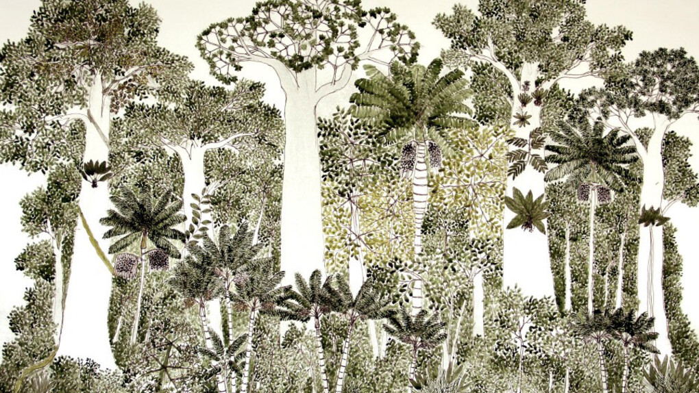 Gäa: Holistic Science and Wisdom  Tradition. Courtesy of Newlyn Art Gallery