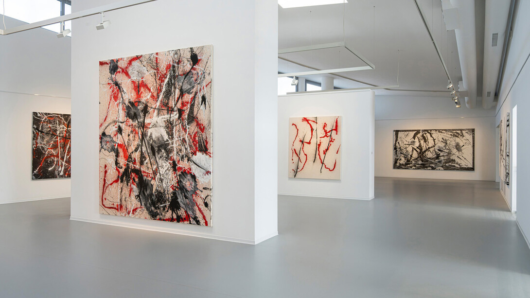 Patrícia Koyšová, Free fall, exhibition view. Courtesy of Danubiana