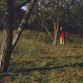 Tamar Avni, Orchard Untitled #7, Lambda Print, 27" x 39"