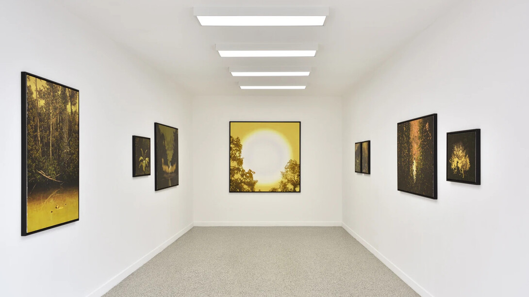 Bruno Gadenne, Eldorado, exhibition view. Courtesy of Prima Gallery